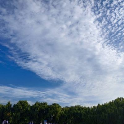 模型少女awake官方版下载